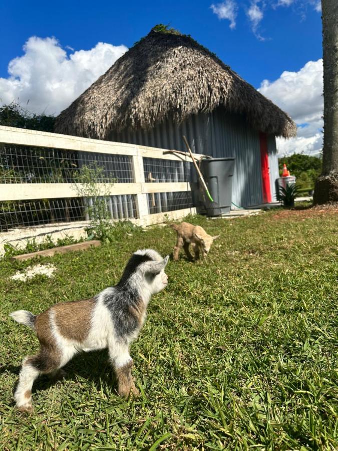 Arritola B And B Ranch Homestead Εξωτερικό φωτογραφία