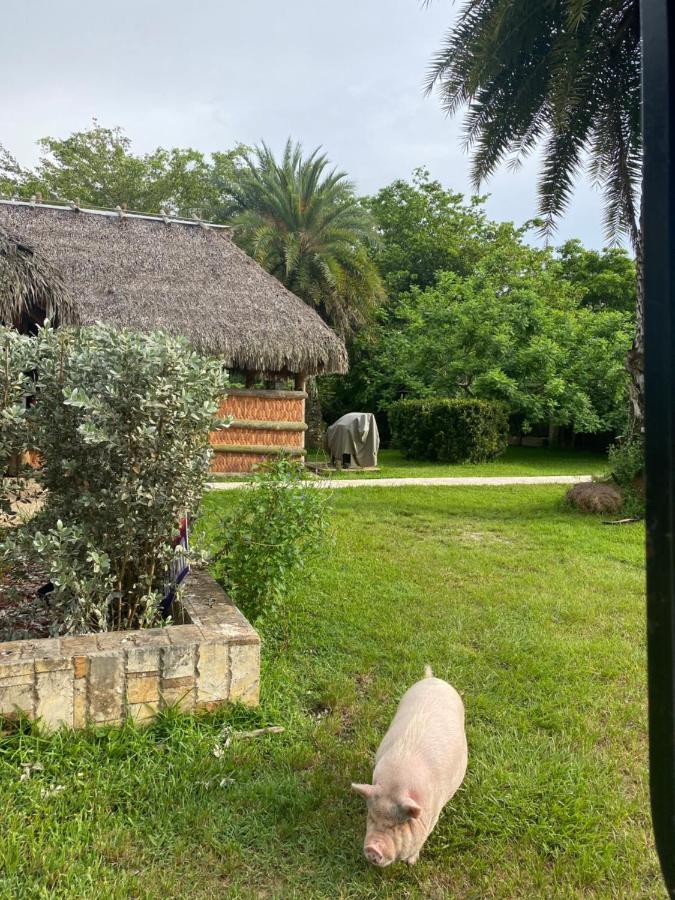 Arritola B And B Ranch Homestead Εξωτερικό φωτογραφία
