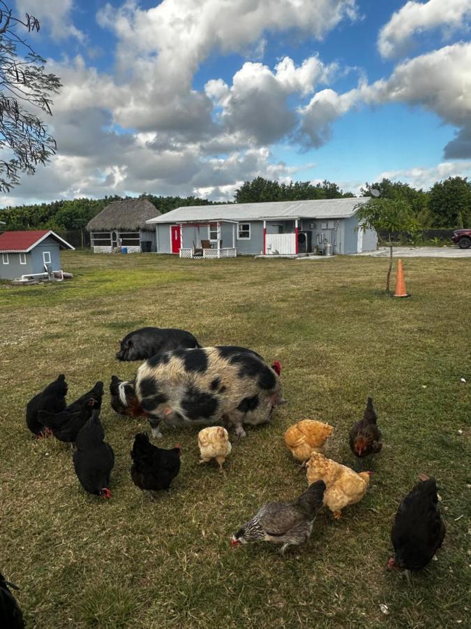Arritola B And B Ranch Homestead Εξωτερικό φωτογραφία